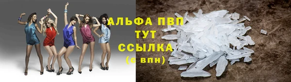 ешки Алексин