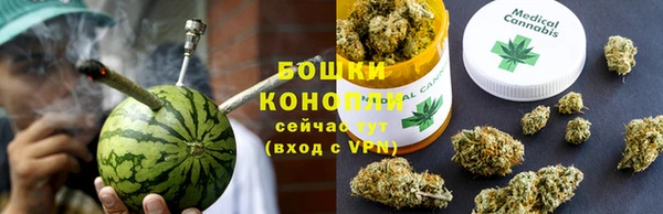 ГАЛЛЮЦИНОГЕННЫЕ ГРИБЫ Абаза