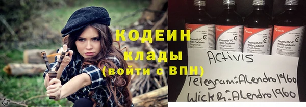 ешки Алексин
